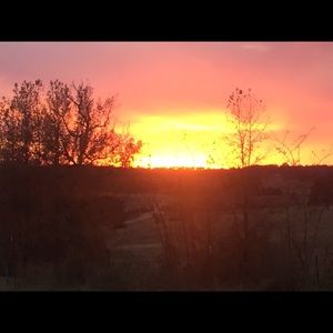 Meet your Posher, Tamara