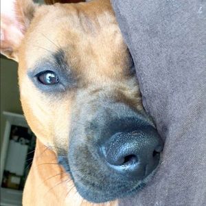 Meet your Posher, Ava