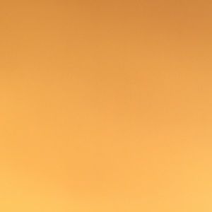 Meet your Posher, Mya