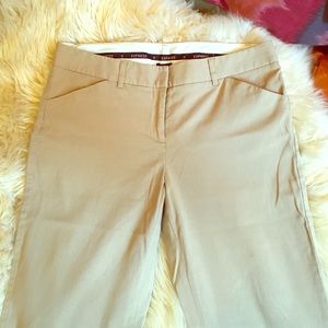 Express 8 L Stretch Slacks