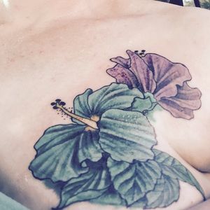 Meet your Posher, Tommi