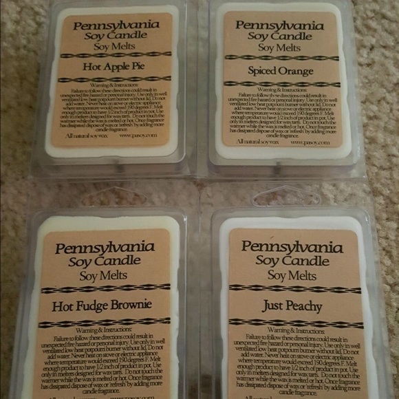 NWT-PA Soy Wax Melts great for Holiday gifts 🎁🎄