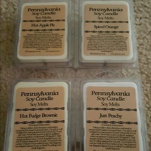NWT-PA Soy Wax Melts great for Holiday gifts 🎁🎄