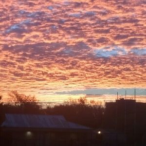 Meet your Posher, Ali