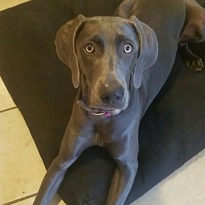 Meet your Posher, Genny