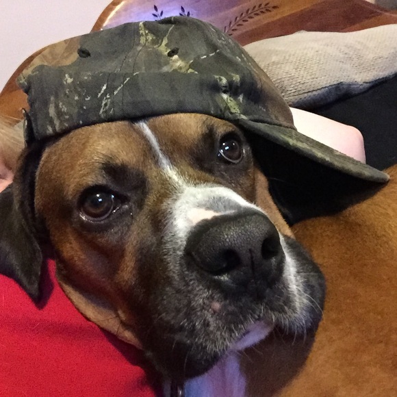 Meet your Posher, Crystal - Picture 1 of 1