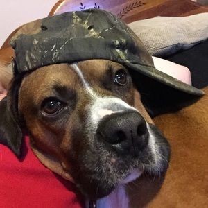 Meet your Posher, Crystal