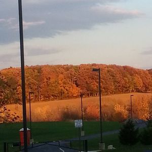 Meet your Posher, Melvin