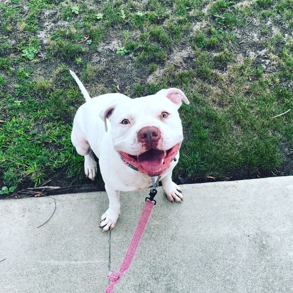 Meet your Posher, Vanessa