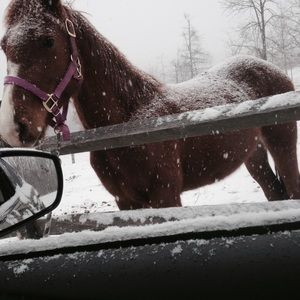 Meet your Posher, Patty