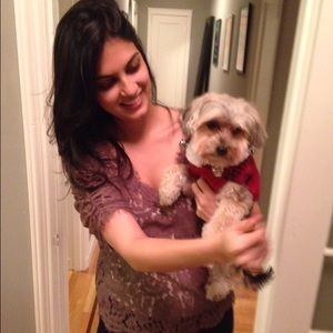 Joie lace top in light brown