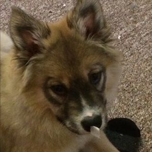 Meet your Posher, Caitlin