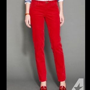 Tommy Hilfiger Skinny Cords Pants