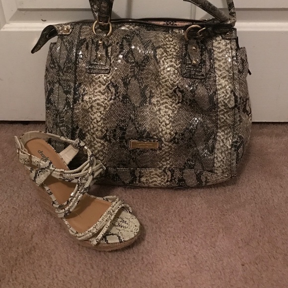 Snake skin purse