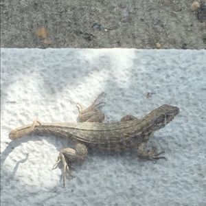 Meet your Posher, Johnny