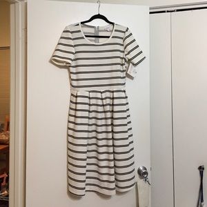 BNWT LuLaRoe XL Amelia Dress