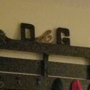 Meet your Posher, Gina