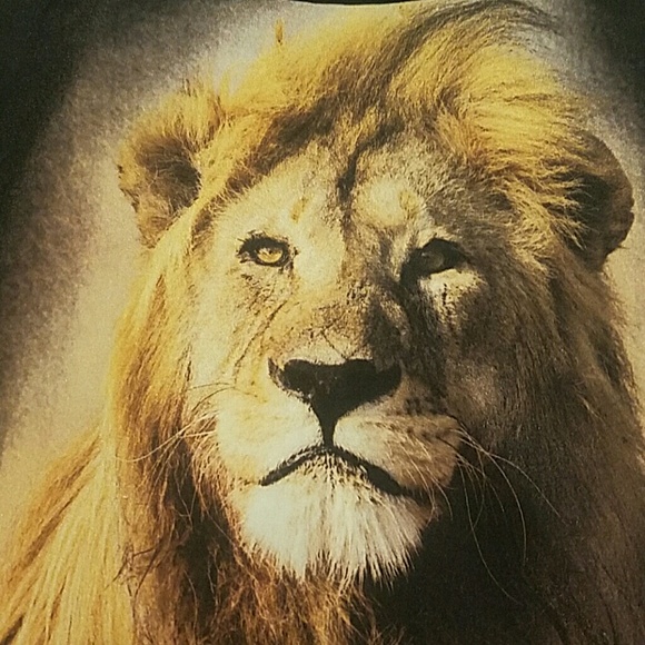 top - Picture 2 of 4