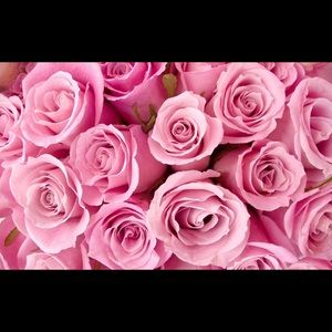 Meet your Posher, Jocelyn