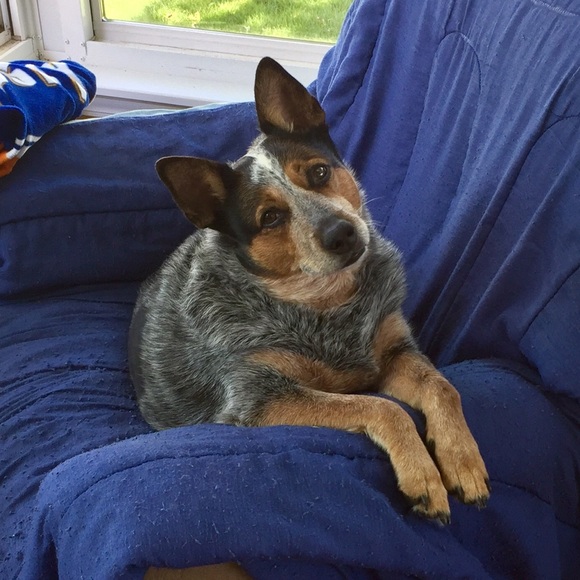 Meet your Posher, Tim - Picture 1 of 1