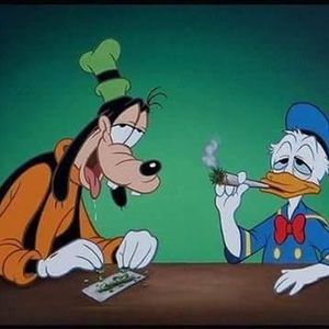 Meet your Posher, Shaun