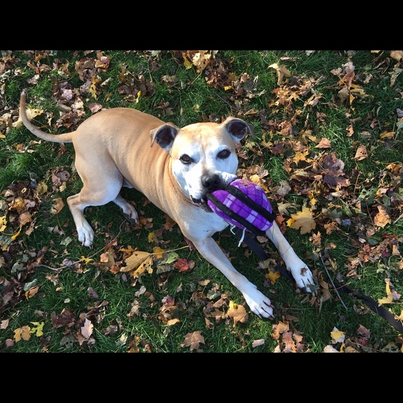 Meet your posher, Jen - Picture 2 of 4