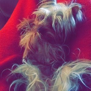 Meet your Posher, Anna