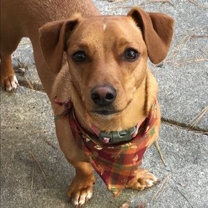 Meet your Posher, Teresa