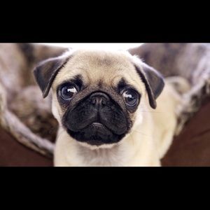 Meet your Posher, Marcell