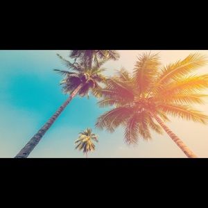 Meet your Posher, Claudia