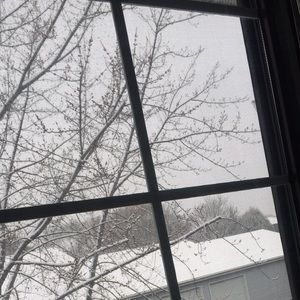 Meet your Posher, Edona