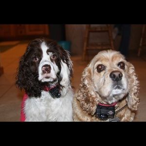 Meet your Posher, Karson