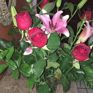 Meet your Posher, Doris