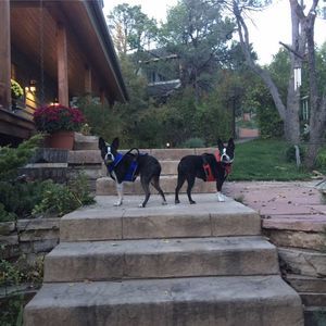 Meet your Posher, Tricia