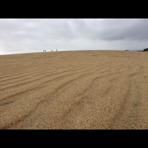 Meet your Posher, Andy