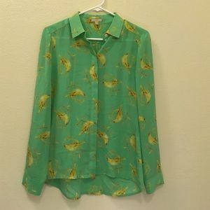 Spring Green Feminine Button Down with Birds