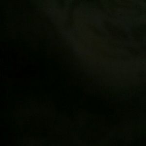 Meet your Posher, Jacqueline