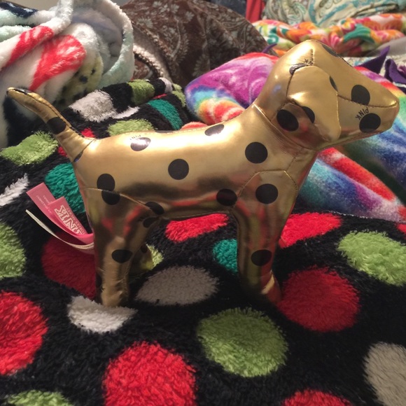 Vs pink dog