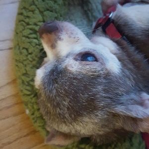 Meet your Posher, Monica