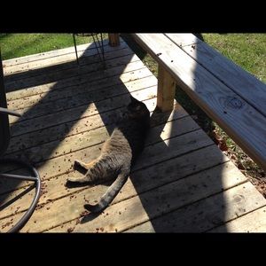 Meet your Posher, Janet