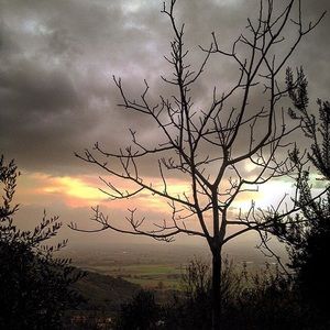 Meet your Posher, Kearby