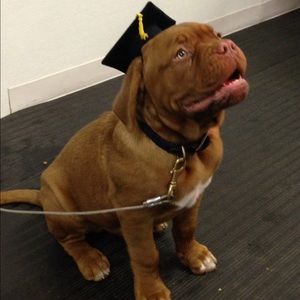 Meet your Posher, Susan