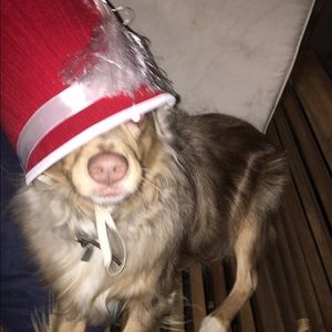 Meet your Posher, Joe