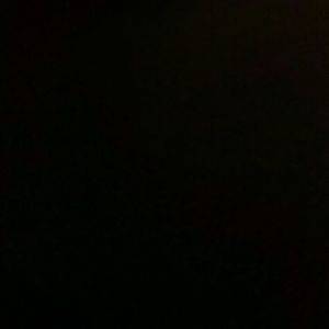 Meet your Posher, Sandy