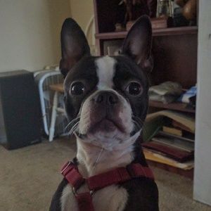 Meet your Posher, Mariah