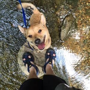 Meet your Posher, Gina