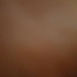 Meet your Posher, Ricky