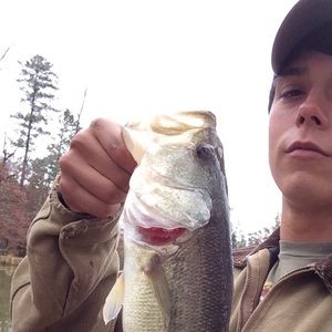 Meet your Posher, Jesse