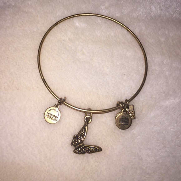 Alex and ani butterfly charm braclet