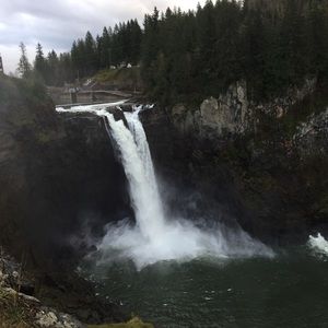 Meet your Posher, Ashton